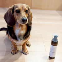 ルークラン ペット シャンプー ループ ビューティー ドライシャンプー 495864 1個（直送品）