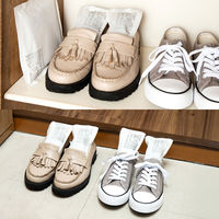 アストロ 消臭 吸湿 桐の炭 S 2個セット 616-52 1セット(2個)（直送品）