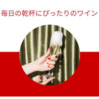 イタリア マルティーニ アスティ スプマンテ 白 甘口 375ml 1セット（12本） スパークリングワイン サッポロ