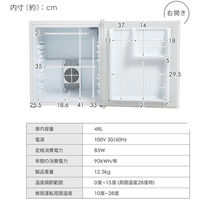 EMA 48L 1ドア 小型電子冷蔵庫 ペルチェ式 ホワイト SunRuck SR-R4805V2-W 1台（直送品）