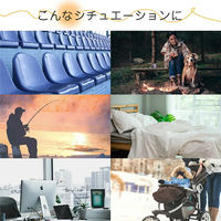 大河商事 充電式カイロ enetanpo ET-21 1秒速暖 3段階温度調節 enetanpoET-21 1セット(2個)（直送品）