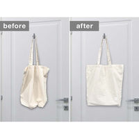 仕掛人101合同会社 バッグのそこが大事 エースポーレンタイプ BS02 1個（直送品）