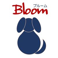 わんこのみやげ わんこのクッキー 神戸牛入り 国産 80g 1袋 Bloom ドッグフード 犬用 おやつ
