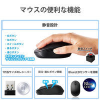 ワイヤレスキーボード マウスセット 無線 静音 フルサイズ 抗菌 メンブレン TK-FDM116SKMBK エレコム 1個（直送品）