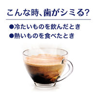 Haleonジャパン シュミテクト コンプリートワンEXハブラシ レギュラー（やわらかめ） 1本 4901080723215（直送品）
