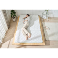 アイリスオーヤマ エアリーマットレス HG90R-SD 1枚（直送品）