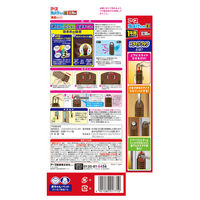 【旧品】虫除け 玄関ドア 対策 虫よけネットEX 玄関用 1年用 1個 吊るす 吊り下げ 不快害虫 寄せ付けない アース製薬