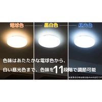 日本防災スキーム 防災用シーリングライト 天照(アマテラス)tsuita TC102 1個（直送品）