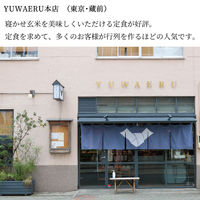 寝かせ玄米ごはん　黒米ブレンド160g 1個 結わえる パックご飯