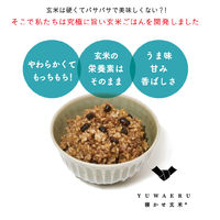 寝かせ玄米ごはん　小豆ブレンド160g 24個　結わえる パックご飯