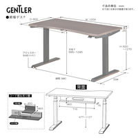 【軒先渡し】コイズミファニテック GENTLER 昇降デスク スモーキーグレージュ×ブラック 1台（直送品）