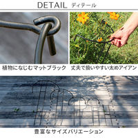 住まいスタイル アイアン製植物サポーター幅18 8本セット IF-N0050-8P 1セット(8本入)（直送品）