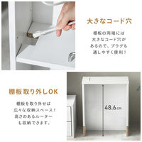 武田コーポレーション ゲーム収納ボックス コンセント付き LN-H6-TS50WH 1箱(4個入)（直送品）