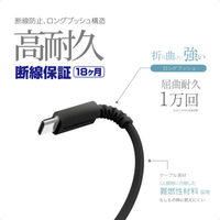 カシムラ USB充電&同期ケーブル 2m C-C 100W AJ-675 1個（直送品）