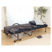 ユナイテッドスペース EXETIME PLATINUM★10(無期限) 25209001 1個（直送品）