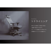 Netforce シースルーチェア オフィスチェア 肘付き アルミ脚 ブラックフレーム×座面ネモフィラブルー 1脚（直送品）