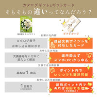ロワール 【熨斗包装付】ブライダルギフカ カタログギフトカード100000ポイント PG100000B 1個（直送品）
