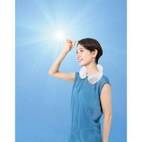 グローバル・ジャパン かちわりIcyNeckホワイト J45-20-13 1個（直送品）