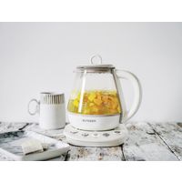 アントレックス BUYDEEM 薬膳ティ-ポット 1.0L 4992831951018 1個