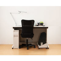 天馬 フィッツワーク 防災用品も入るデスク下引出ケース SL2段 1個