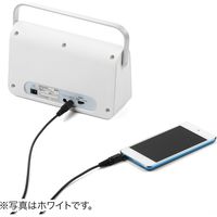 サンワダイレクト テレビスピーカー(ワイヤレス・テレビ用・手元スピーカー・充電式・最大30m・ブラック) 400-SP083BK 1個（直送品）