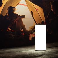 サンワダイレクト LEDライト(ランタン・6段階調整・充電式・タッチパネル・昼白色・電球色・リバーシブル) 800-LED025 1本（直送品）