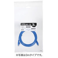 サンワダイレクト Cat6 フラットLANケーブル 0.5m （カテゴリー6・より線・ストレート・ブルー） 500-LAN6FL005BL 1本（直送品）