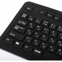 有線キーボード　メンブレン　フルサイズ　ブラック　400-SKB013BK　サンワサプライ　１個（直送品）