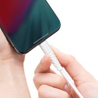 Lightningケーブル　1m　PD充電対応（100W）　500-IPLM025W　サンワサプライ　1本（直送品）