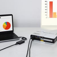 サンワダイレクト USB-HDMIディスプレイ変換アダプタ 500-KC007N 1個（直送品）