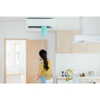 山崎産業 2989.jp+ ムーンダスターEX 1セット(1本×2)