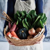 【ギフト・手土産5箱セット】パティスリー ポタジエベジスイーツ詰合せ PJYG-A5S-5 1セット（7個入×5箱）（直送品）