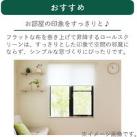 【規格品】ロールスクリーン 幅90×高200cm（グリーン） 4975559789231 1セット トーソー（直送品）