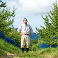 【ロハコ・アスクル限定】紀州 石神の梅干 白干梅 完熟南高梅 香醸栽培 1セット（1個×24）濱田 オリジナル ご飯のお供 梅ぼし オリジナル