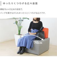 Netforce ネットフォース キューボイド ロビーチェア 背付き 布張り ブラック CUB-1-S2-AW 1セット（2台入）（直送品）