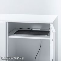 サンワサプライ パーソナルロッカー 2連2段 4人用 ダイヤル錠 幅800×奥行450×高さ1000mm ホワイト PLK-TW4W 1台（直送品）