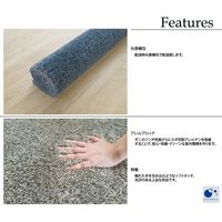 スミノエ BIG SIZE RUG イルミエ ラグ 防炎 アレルブロック 2610×2610mm チャコール 4549781206615 1枚（直送品）