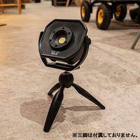 ビッグマン 電池式LED投光器 5W BDL-01 078683 1個