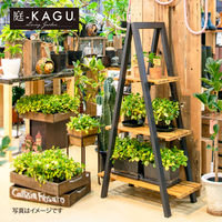 タカショー ツリーシェルフ MWF-38FS（直送品）