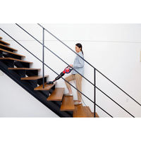 アイリスオーヤマ キャニスティッククリーナー IC-CSP5-R（直送品）