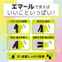 エマール アロマティックブーケの香り 詰め替え 810g 1セット（1個×15） 衣料用洗剤 花王