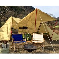 スパイス バカンス　キャンパスフォールディング　ウッドディレクターチェア　ネイビー SFVY1920NY 1台（直送品）