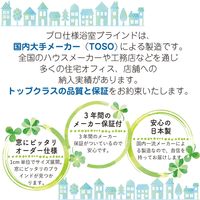 【1cm単位】プロ仕様「つっぱりブラインド」幅107cm×高185cm＜遮熱・耐水＞ ctb835T-107x185r68 1セット トーソー（直送品）