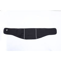 アイリスオーヤマ 理学療法士設計サポーター腰用M ISK-M 1個（直送品）