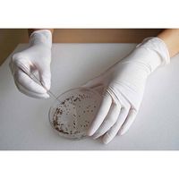 【使いきりニトリル手袋】 ショーワグローブ ニトリスト・タフ 粉なし No.884 NO884-SS ホワイト 1箱（100枚入）