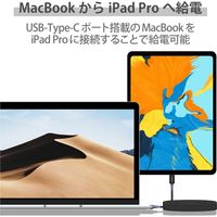 タイプCケーブル (USB-C to C) PD対応 60W 耐久 2m ブラック MPA-CCPS20PNBK エレコム 1本