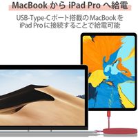 タイプCケーブル (USB-C to C) PD対応 60W 耐久 1m レッド MPA-CCPS10PNRD エレコム 1本