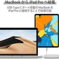 タイプCケーブル (USB-C to C) PD対応 60W 耐久 2m シルバー MPA-CCPS20PNSV エレコム 1本