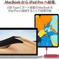 タイプCケーブル (USB-C to C) PD対応 60W 耐久 2m レッド MPA-CCPS20PNRD エレコム 1本