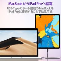 タイプCケーブル (USB-C to C) PD対応 60W 高耐久 30cm 黒 MPA-CCS03PNBK エレコム 1本（直送品）